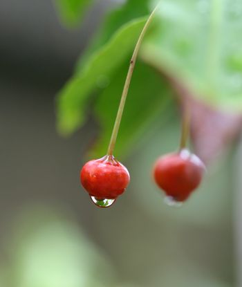 c0134734_1715369.jpg