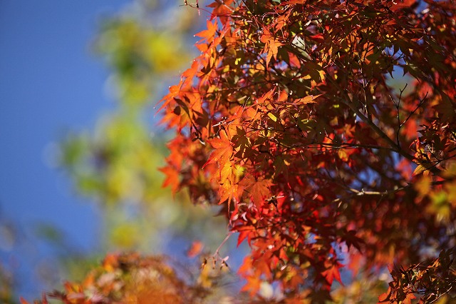 a0242438_1974655.jpg