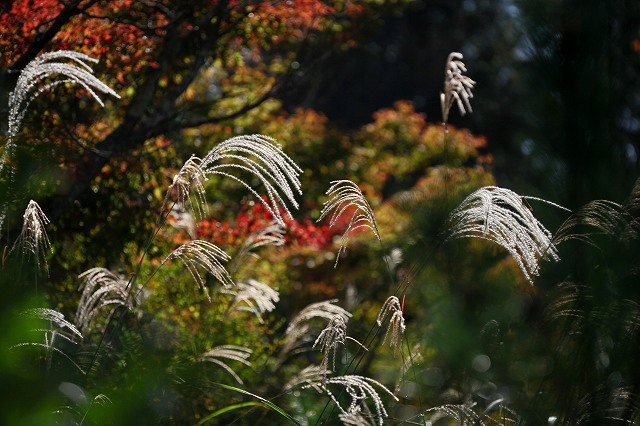 a0242438_1982749.jpg