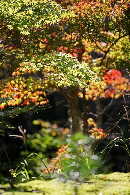 a0242438_198348.jpg