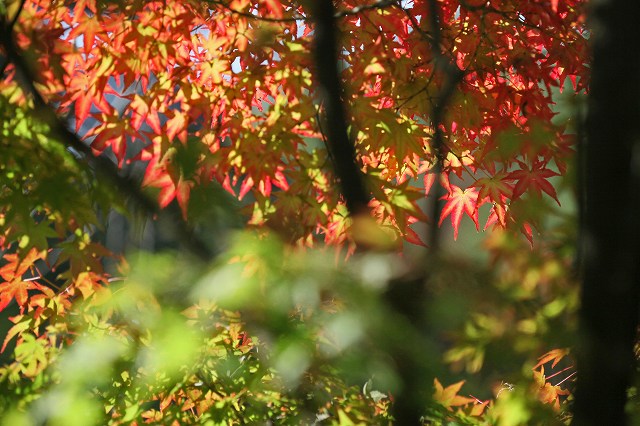 a0242438_1985139.jpg