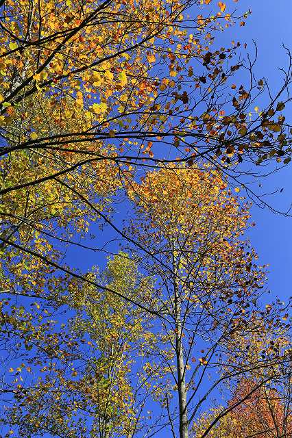 a0242438_1991078.jpg