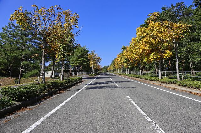 a0242438_1992696.jpg