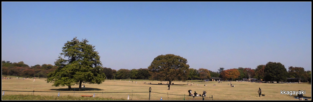 e0206242_16341461.jpg