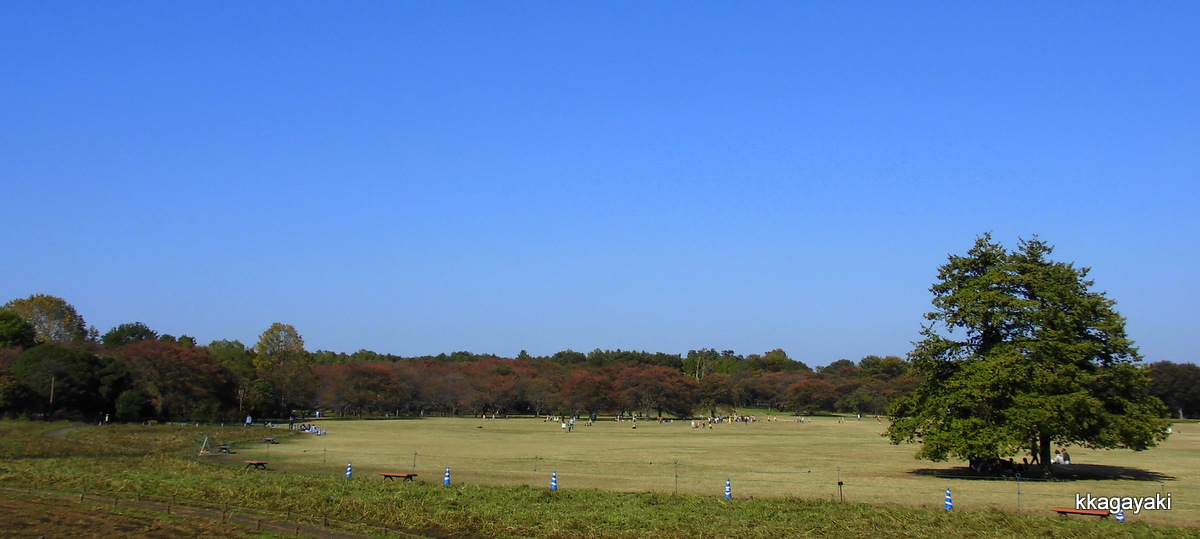 e0206242_1635942.jpg