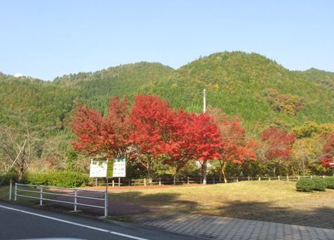 c0110647_2061298.jpg