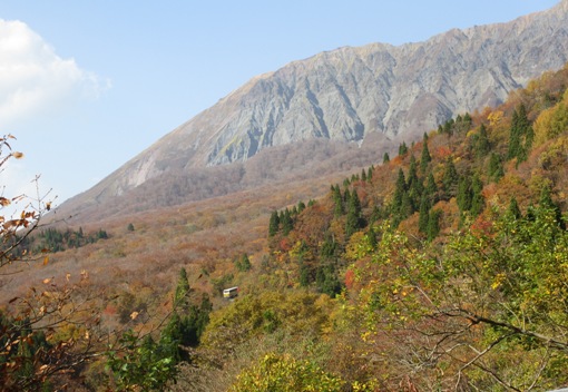 c0110647_2064865.jpg