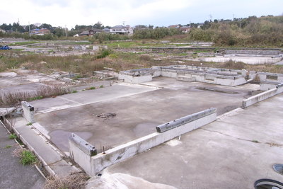 d0162248_1271954.jpg