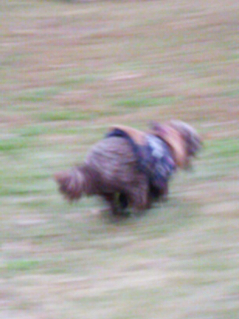 e0121548_21385046.jpg