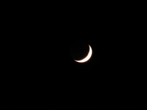 e0288951_12514886.jpg
