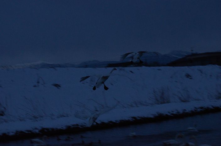 a0263952_1952494.jpg