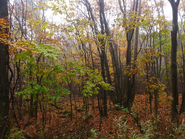c0134862_23565962.jpg