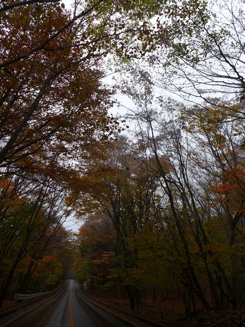 c0134862_23571076.jpg