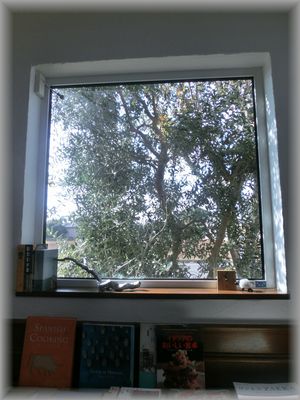 c0120363_14315695.jpg