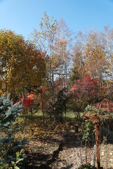 b0091164_12184423.jpg