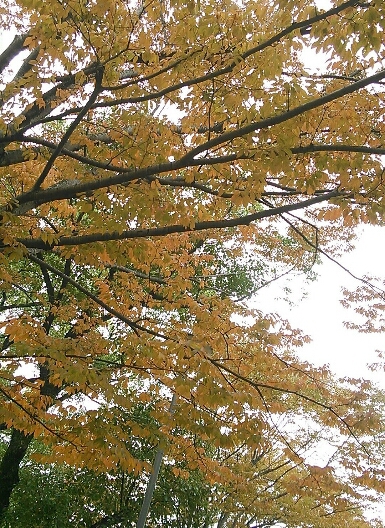 a0111166_2329647.jpg