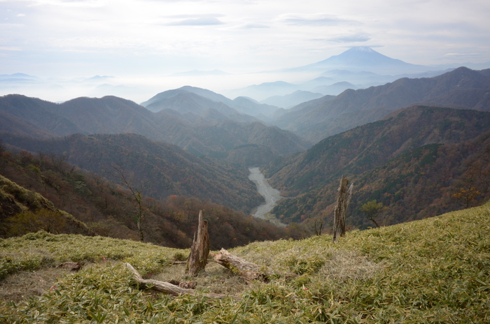 e0307372_23513696.jpg