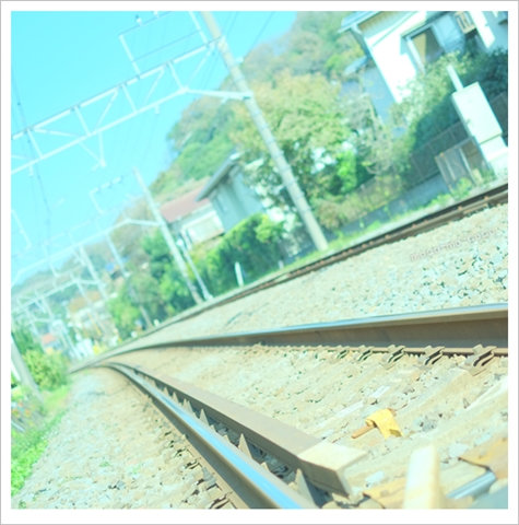 d0274977_1682714.jpg