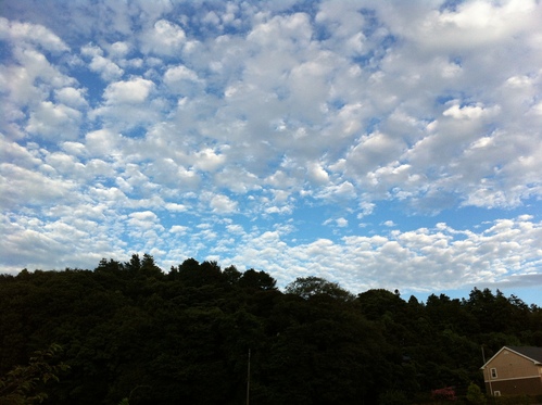 a0152078_14165134.jpg