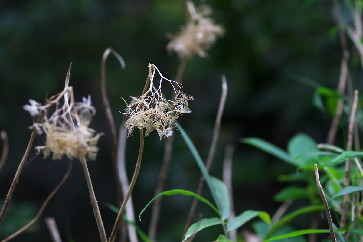 a0083081_20131450.jpg