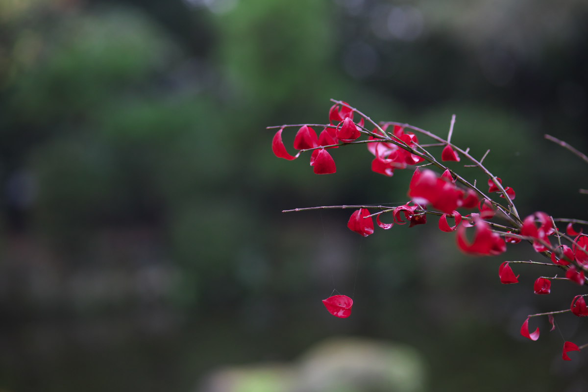 a0083081_20134070.jpg