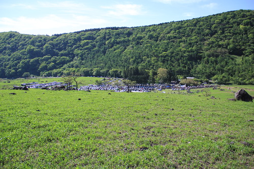b0286982_23503927.jpg