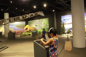 f0035894_1133962.jpg