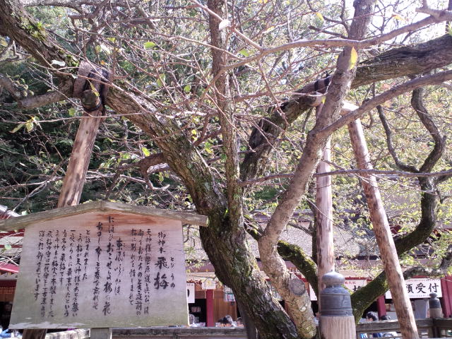 f0042295_1764564.jpg