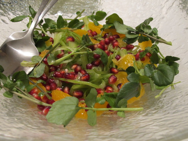 a0127398_41303.jpg