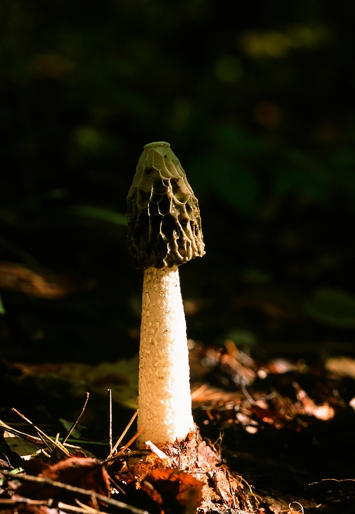 f0220698_23531529.jpg