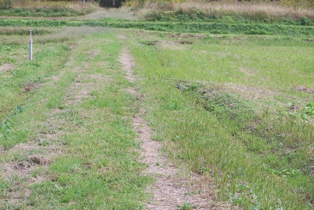 e0025300_2010888.jpg
