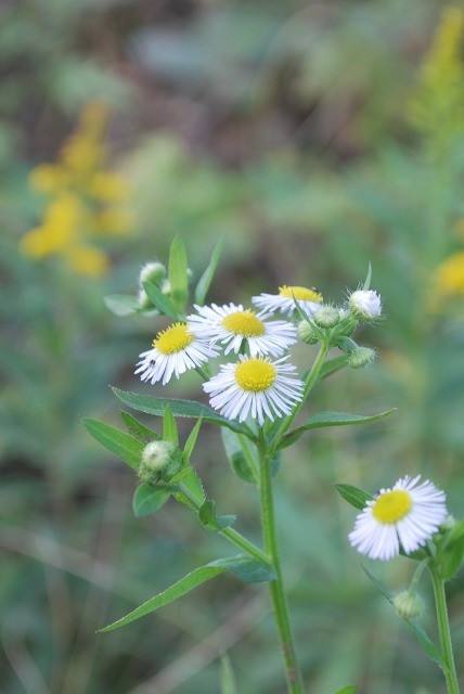 e0025300_20221411.jpg
