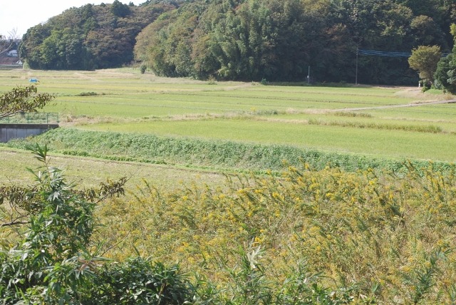 e0025300_2045942.jpg