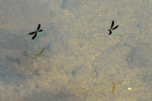b0014607_19401344.jpg