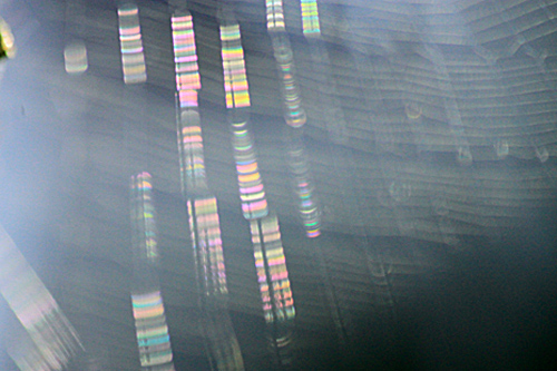b0014607_19405520.jpg