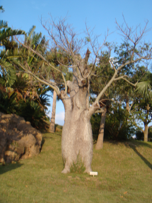 a0019212_1854764.jpg