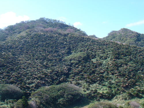 a0019212_20315345.jpg