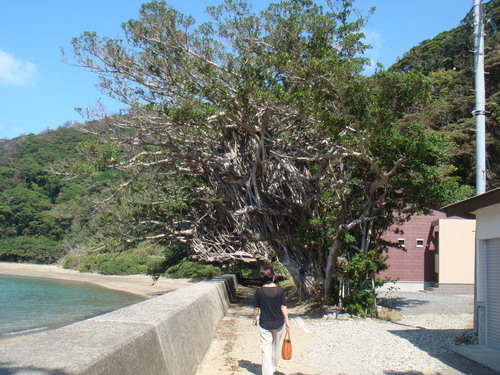 a0019212_2035960.jpg