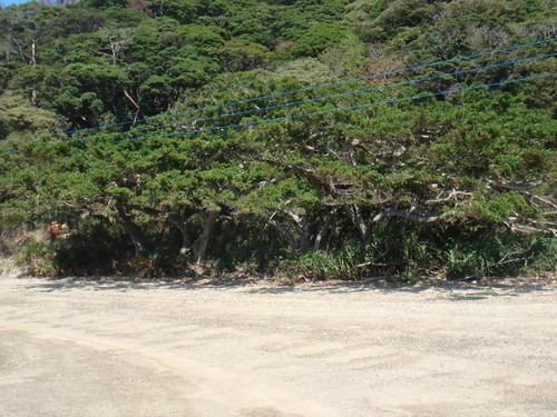 a0019212_20543151.jpg
