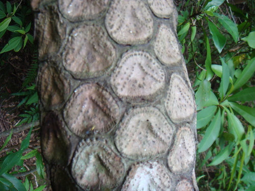 a0019212_21345849.jpg