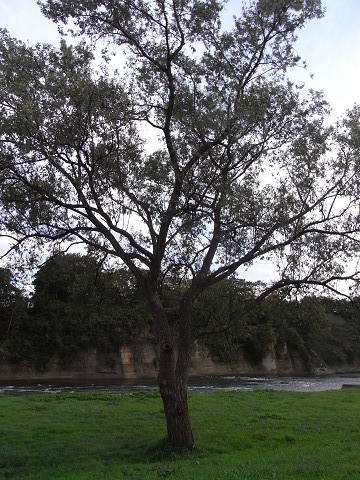 b0309813_017234.jpg