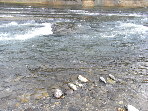 b0309813_0185699.jpg