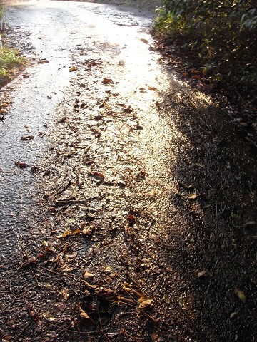 b0309813_0244545.jpg