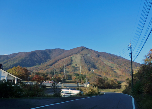 d0221319_191503.jpg