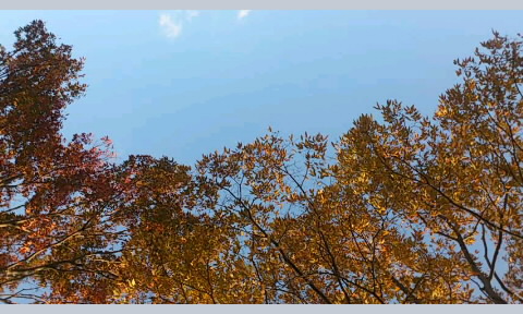 d0024220_14565093.jpg