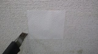 e0091220_1722143.jpg