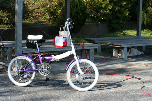e0244621_2144049.jpg