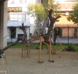 e0002927_20484750.jpg