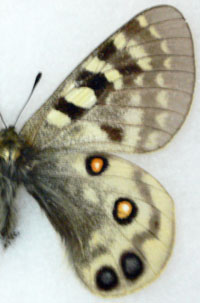 a0046429_234446100.jpg