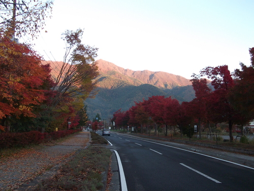 f0304030_10232293.jpg
